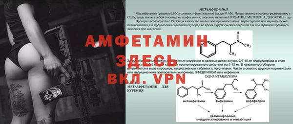 ГАЛЛЮЦИНОГЕННЫЕ ГРИБЫ Абаза