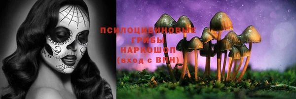 хмурый Алзамай