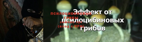 прущие грибы Пролетарск
