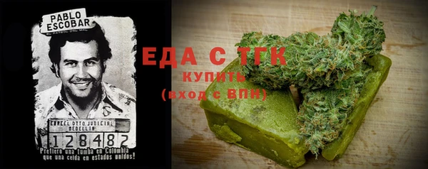 хмурый Алзамай