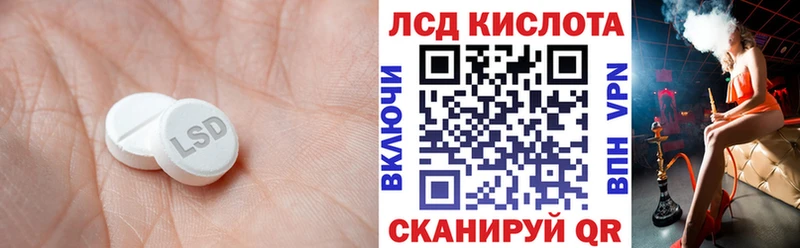 как найти наркотики Каргополь ЛСД экстази ecstasy