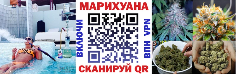 Конопля план  blacksprut рабочий сайт  Каргополь  где найти  